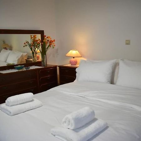 Thalia'S House Apartment Trikala  Bagian luar foto