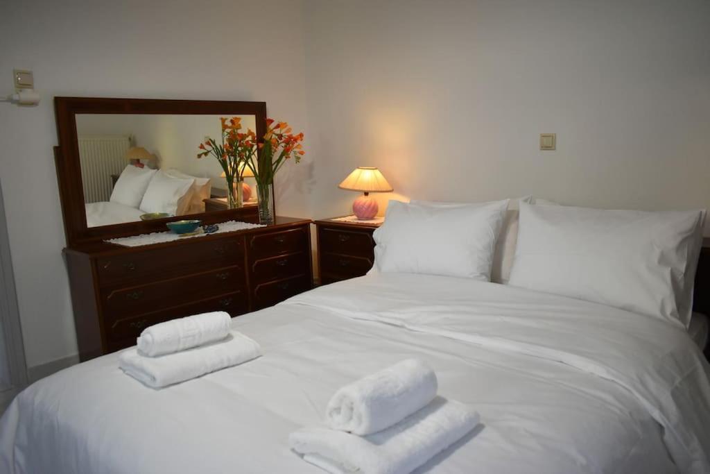 Thalia'S House Apartment Trikala  Bagian luar foto
