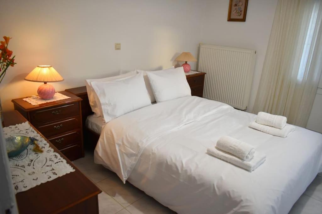 Thalia'S House Apartment Trikala  Bagian luar foto