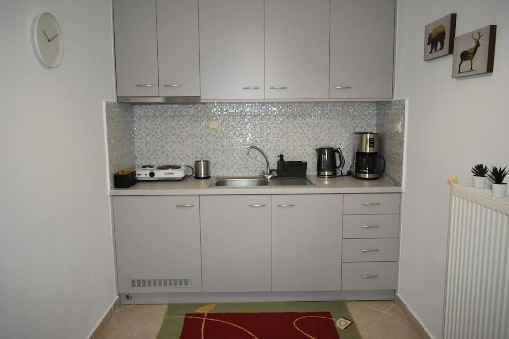 Thalia'S House Apartment Trikala  Bagian luar foto